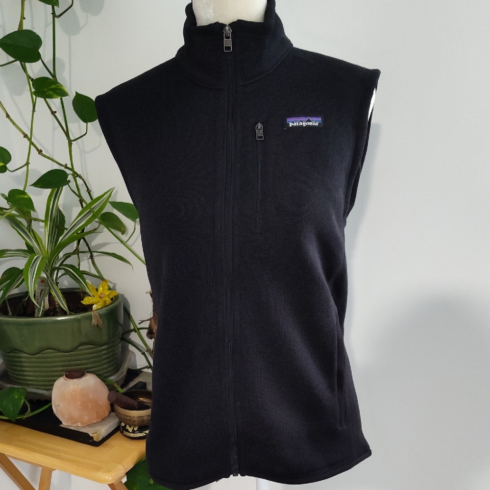 Patagonia Black Fleece Vest